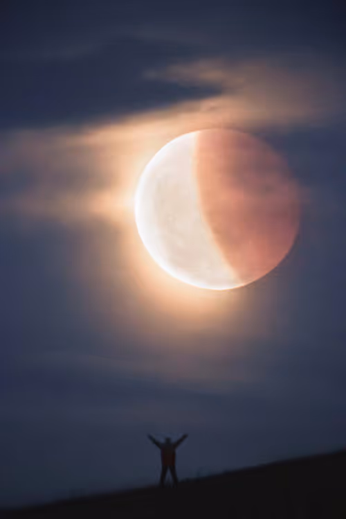 Item #57499437025972448191334826687746785922127825713014806811453226061981645012993 Media