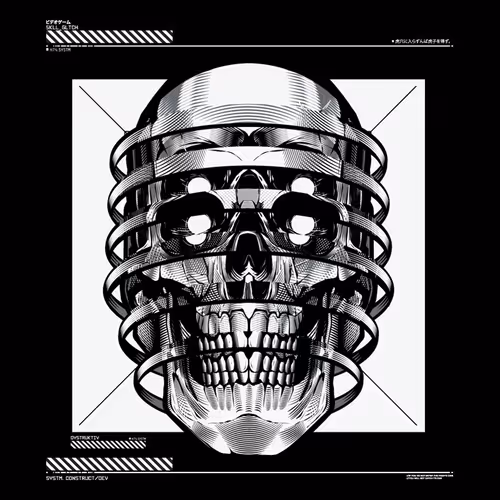 H74_001//CYBR.SKULL