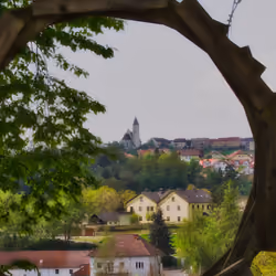 Window with a view