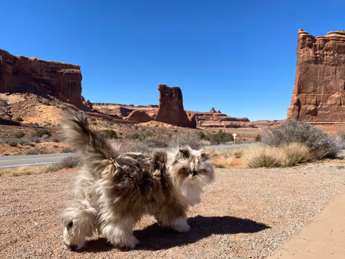 Item #88063557034118437660925886446302507819426649905583175627315428954211327410177 Media