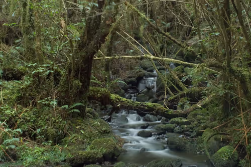 Item #25368776040682519390983776677225528740167958372111640572942765212902122061825 Media