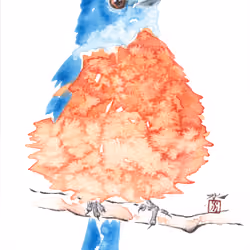 Blue Bird