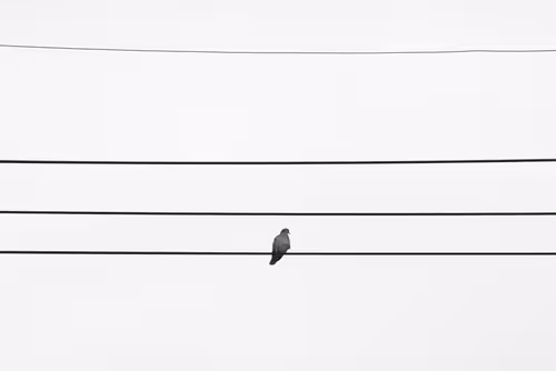 Item #99400781965356512017586416737333400682659956935423818943458207251000861917185 Media