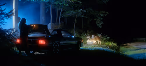 Item #20320409577353525733027990277588759518385479256488519863146356754824405450753 Media