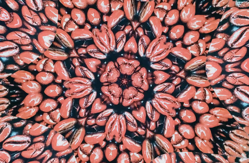 Item #39425846421802280996231740338929997167545085552399292352466571974684530704385 Media