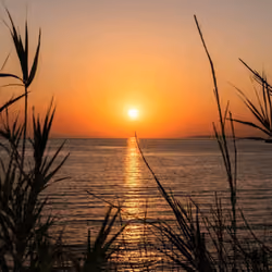 PeaceAndSerene #9