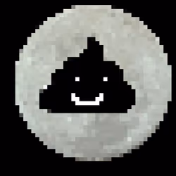 The DogeMoon Shit