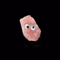 PetRock #025