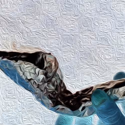 Tinfoil
