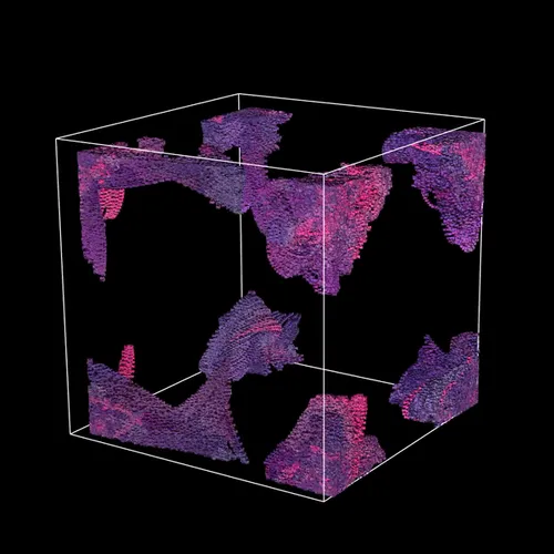 Item #76477907301278796608859036519063341014600640660075023904303767570185327738881 Media