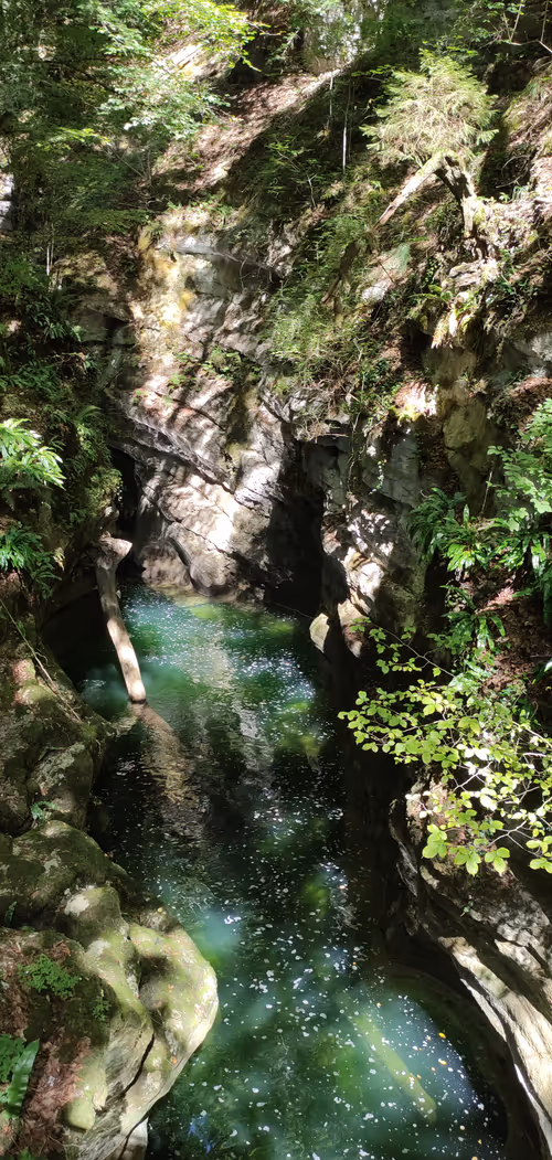 Item #20398726912547406339970687891835182810511091541282257052992388704267097079809 Media