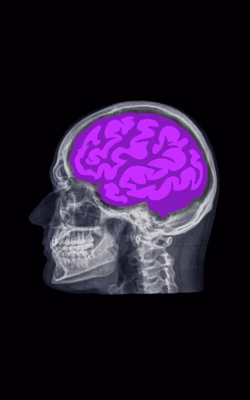 Item #24230885534779484670501703553684953274983737514794072512407783987354141720586 Media