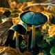Mushroom #76
