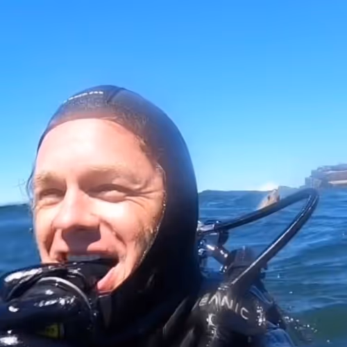 Dillynsoceanadventures