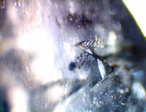 Item #71646257518770613568983710813551014237803002136866425209291834750872238161921 Media