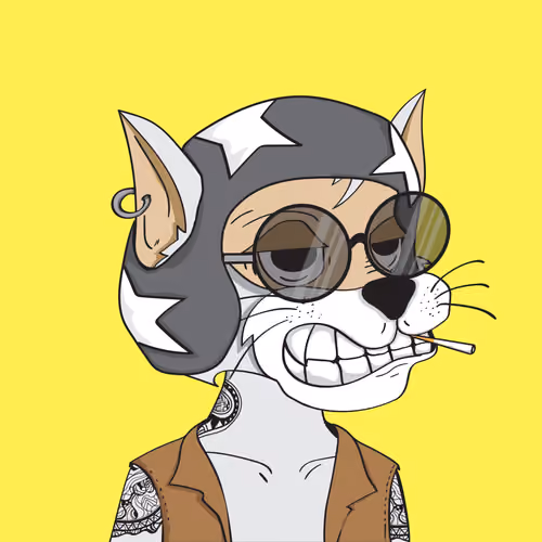 The Crazy Cat Club #0081