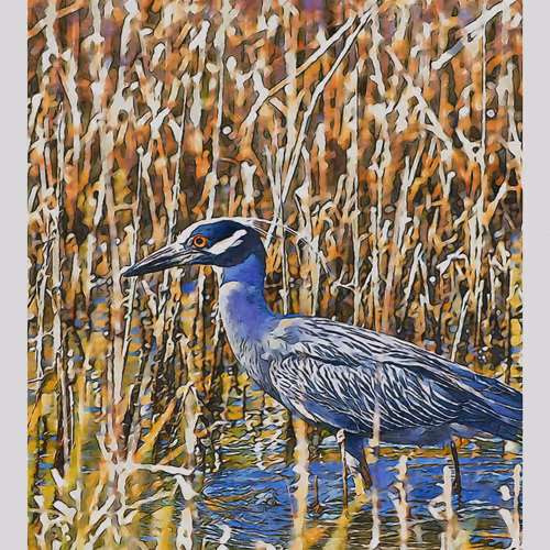 55704534837685659622621715309832868758345944585427688586690141404768738738177