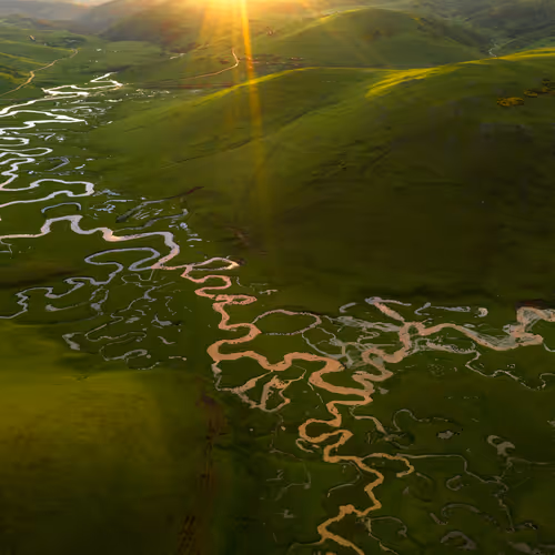 Paradise of Meanders