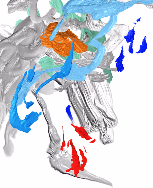 Item #45780721963660682785558958517893066827979384183424857842453670656766422024193 Media