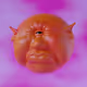 1117293164482612420341066803416431360136392422768795372062017044996377542657