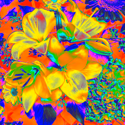 10162537437224382031479019658551907585229278444242708151782220084607325306881