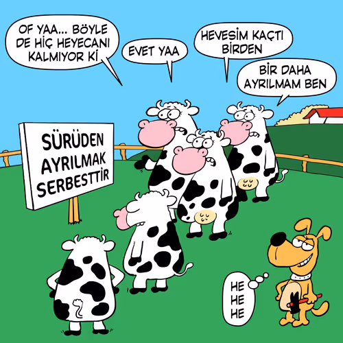 Item #69122917727831532385618958158964921467633342400804643146613699226049653506049 Media