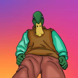 Duck
