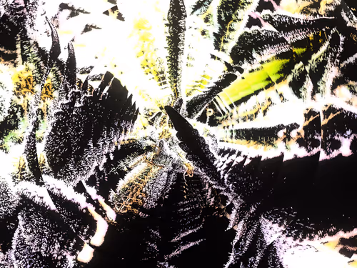 Item #83970981387443879143921485150900069530799783516997234463864977593061425020929 Media