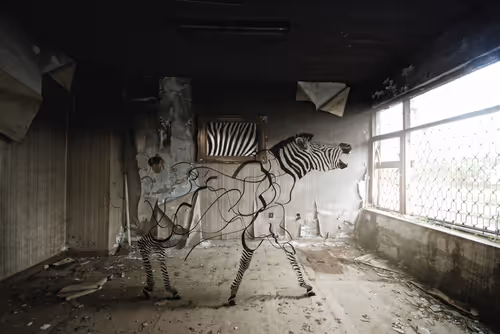 Item #29511697845116579399925011661064445951476116683601584807484795201727502483457 Media