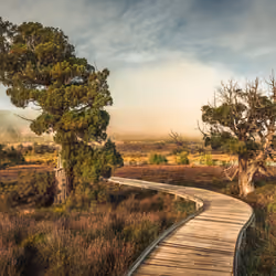 NATURE SCENICS 05