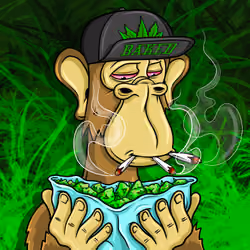 dosedape 1/1 baked varient