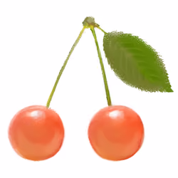 MY first cherries