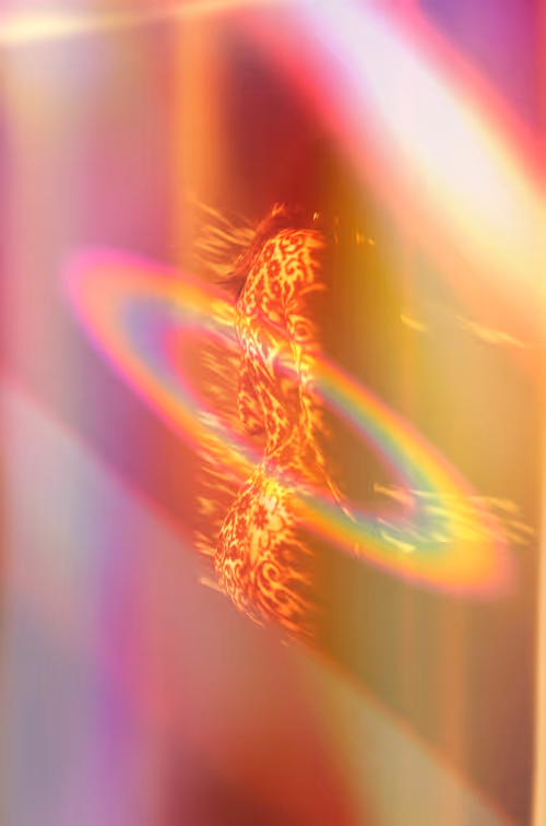 Item #40498021365110625873163859620955492987361950717153146364459205417757094969345 Media