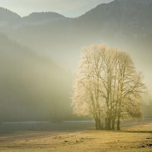 Tranquility And Peace