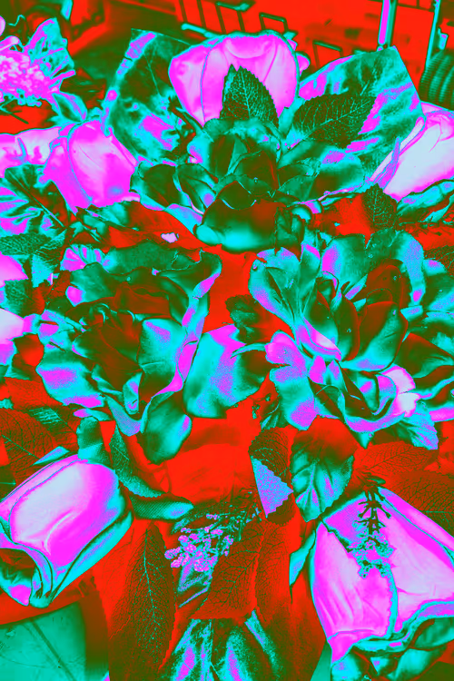 Item #10162537437224382031479019658551907585229278444242708151782220105498046234625 Media