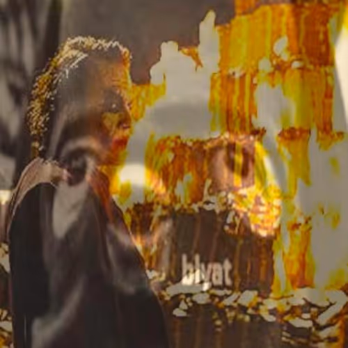 67216338964662326110570068034599829364879819849950429410839559726493996154881