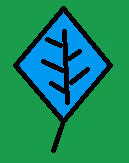 Green Sky Blue Leaf