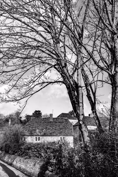 Item #95930744612989253264341458363878669706731092846429446161851758976258451439617 Media