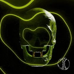 Skull Collector #237