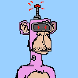 Monkey #4
