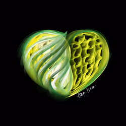 9474611545894584964435841342945166491517591874394890721650365147870396416001