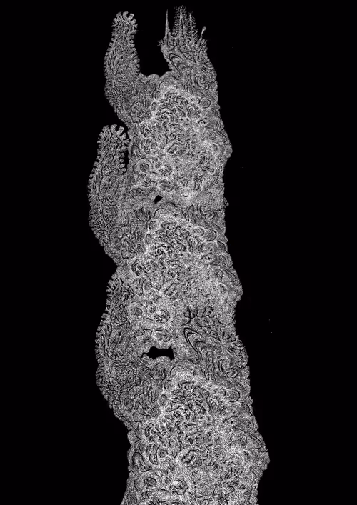 Item #48216677678887992956199146050101977369740452437452834237877791401415981137921 Media