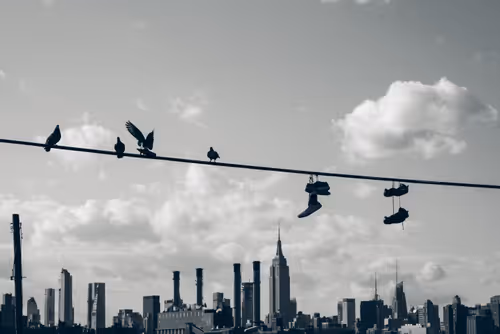 Item #26496075620781707602062900041822142517414676884450269992691667280299009507329 Media