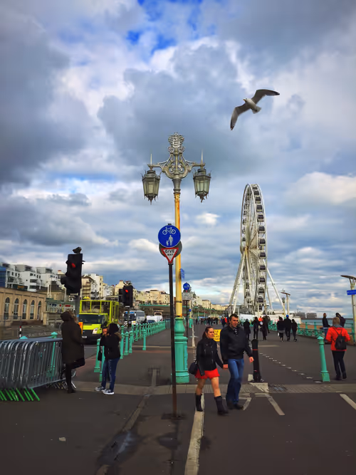 Item #51690675638909644790966826113213763437997288927381309606437552008884584972289 Media