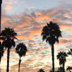 From Dusk Till Dawn 