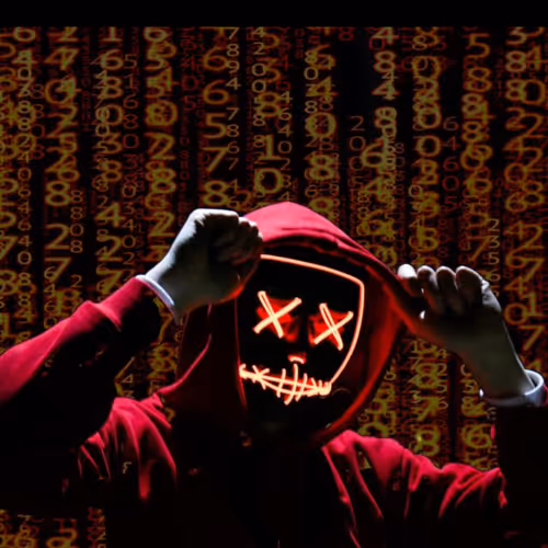 Untitled Collection #20502570