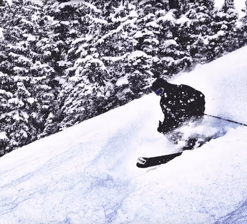 Mealsandeals Collection