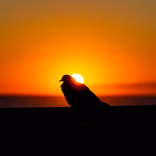 87014449869533570037258101988122133423496035447680150931597385512457770893313