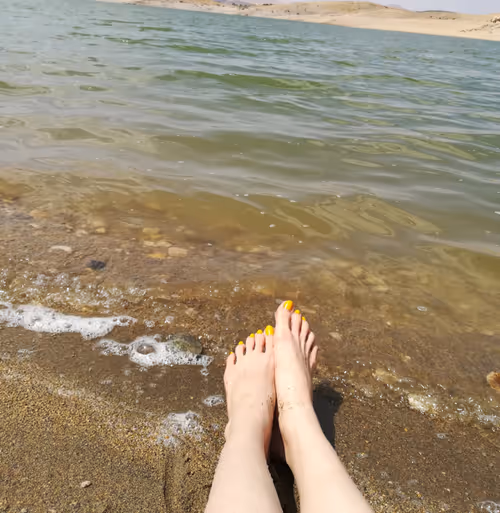 Item #55201668744489621819208839023649933051978301778806626701778924225371152842753 Media