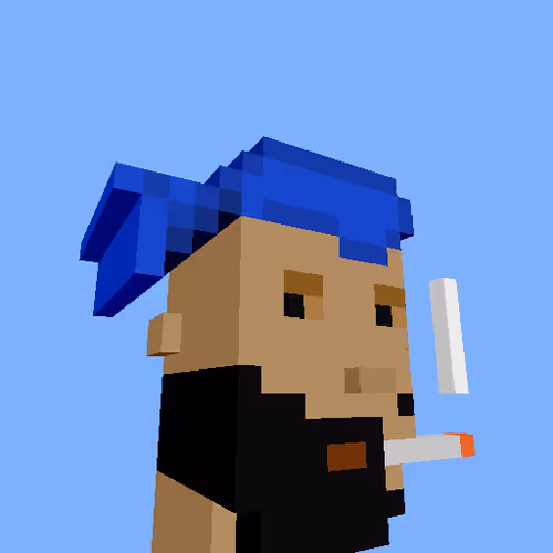 PunkVoxels #2246
